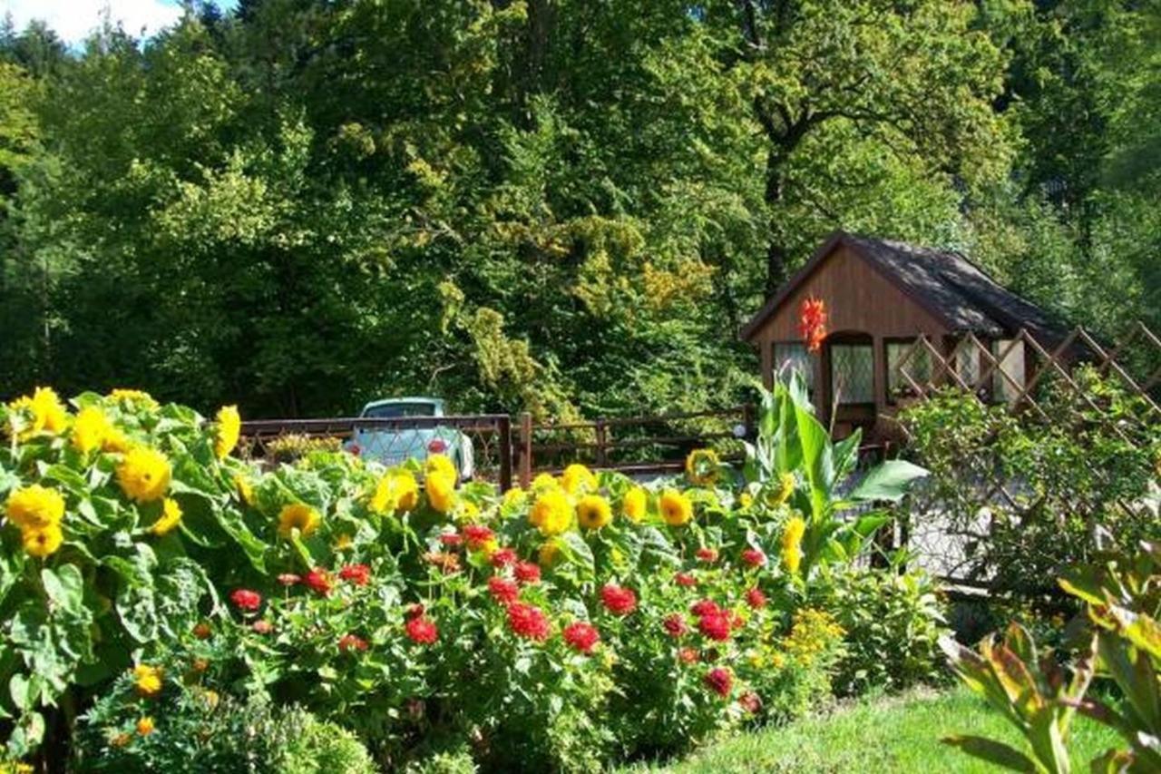 Apartament I Pokoje Goscinne U Lusi วีสวา ภายนอก รูปภาพ